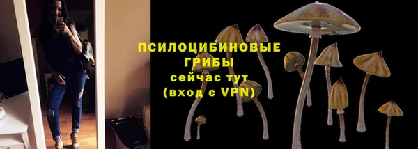 мяу мяу мука Бородино